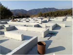 玄関付近からの眺め